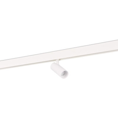 Трековый светильник Alpha DL20295WW10W