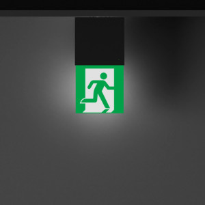 Аварийный светильник EMERGENCY 057966